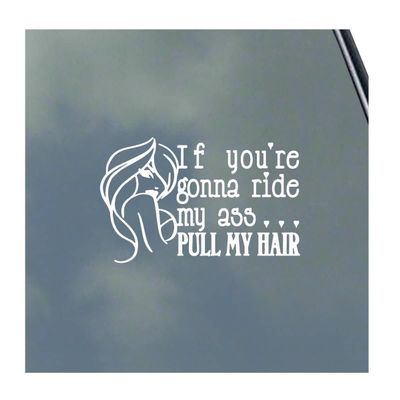 If You're Gonna Ride My Ass... Vinyl Sticker Decal BDSM Kitten Kink Domme Sexy Master Slave Hot Symbol Oval Symbol