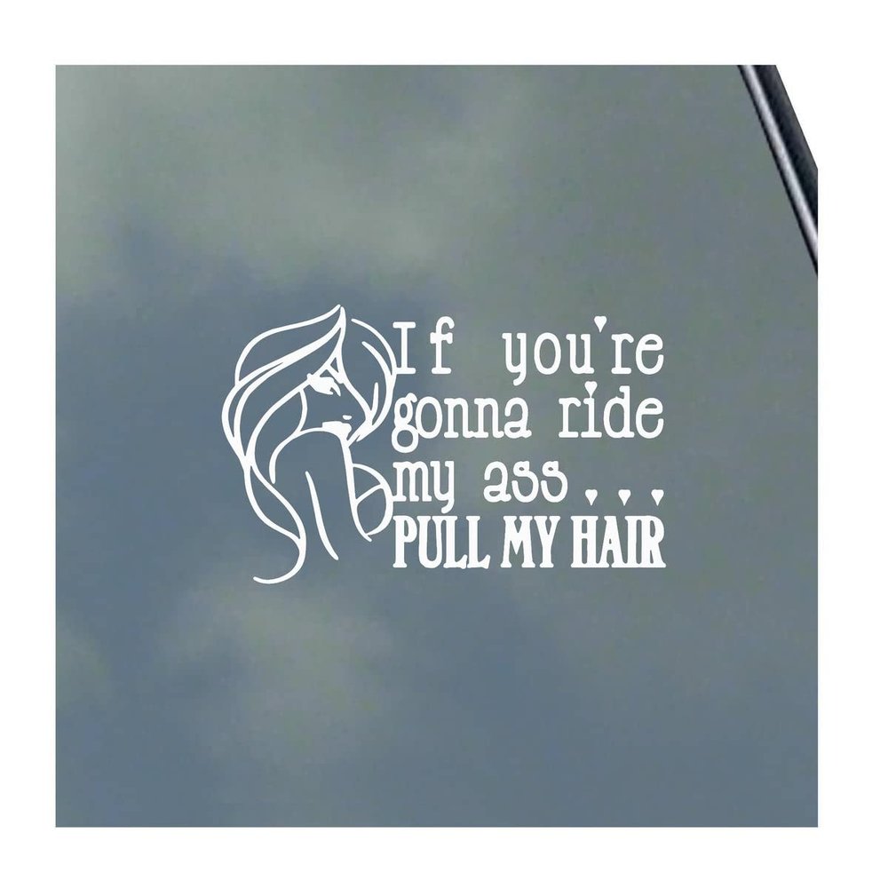 If You're Gonna Ride My Ass... Vinyl Sticker Decal BDSM Kitten Kink Domme Sexy Master Slave Hot Symbol Oval Symbol