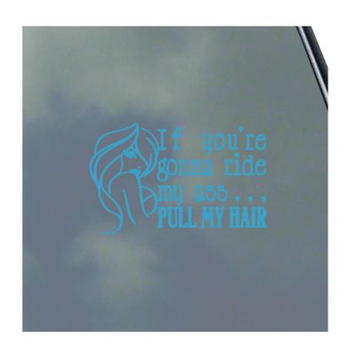 If You're Gonna Ride My Ass... Vinyl Sticker Decal BDSM Kitten Kink Domme Sexy Master Slave Hot Symbol Oval Symbol