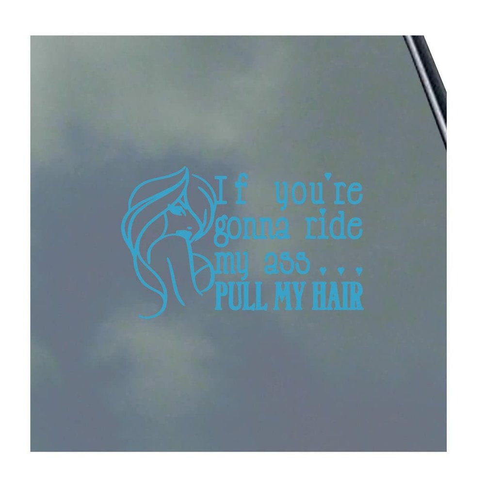 If You're Gonna Ride My Ass... Vinyl Sticker Decal BDSM Kitten Kink Domme Sexy Master Slave Hot Symbol Oval Symbol