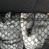 EACCESSORIES EA Rear Trunk Seats Organizer Cargo Net for Kia NIRO 2017-2026 Envelope Style Cargo Net for SUV Premium Mesh Elastic Car Trunk Organizer Vehicle Carrier Storag Compatible with NIRO view 3