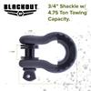 Blackout XP D Ring Shackle Set with 45,000 lbs. of Break Strength view 3