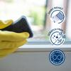 Sorbo Window Care Cleaning Sponges, Pack of 2, Removes Dirt & Stains Without Scratching or Marking for Streak Free, Shiny Finish, Reusable, Ultra-Absorbent & Plastic-Free Packaging view 2