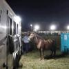 Pit Viper Lights Horse Trailer Light - Twin Pack 20,000 Lumens view 3