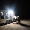 Pit Viper Lights Horse Trailer Light - Twin Pack 20,000 Lumens view 4