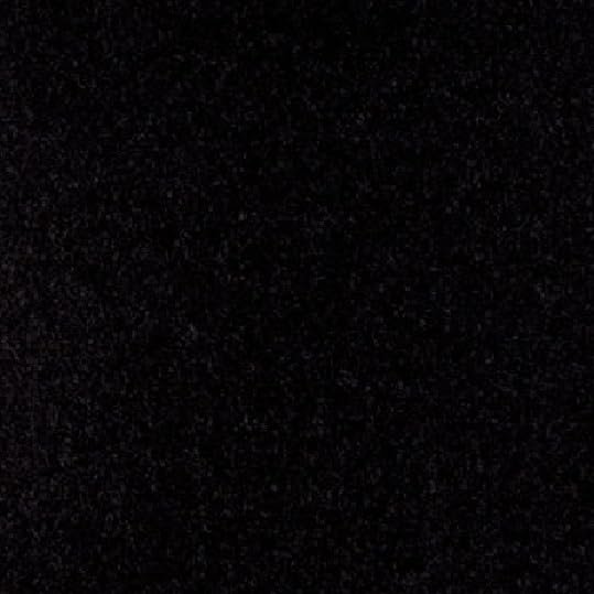 8 1/2 Foot Wide 20 oz. Do-It-Yourself All Purpose Boat Carpet Kit (Black, 8.6 x 17)