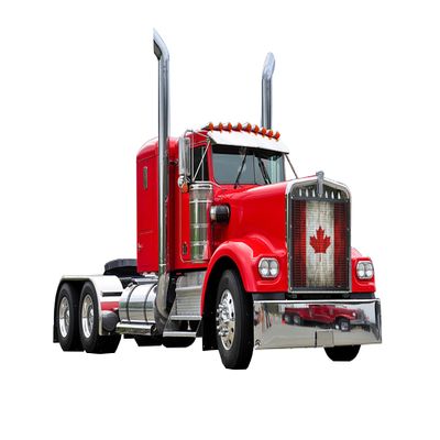 GrilleAdz Canada Flag Mesh Bug Screen for Kenworth W900A (Bug Screen with Turnbuckle Hardware Installation Kit)