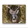 Buck on Camo License Plate view 1