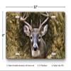 Buck on Camo License Plate view 3