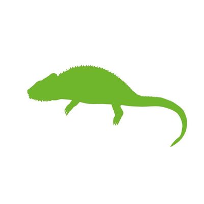 Dark Spark Decals Cape Dwarf Chameleon Silhouette 7 inch Lime Indoor Outdoor Vinyl Decal