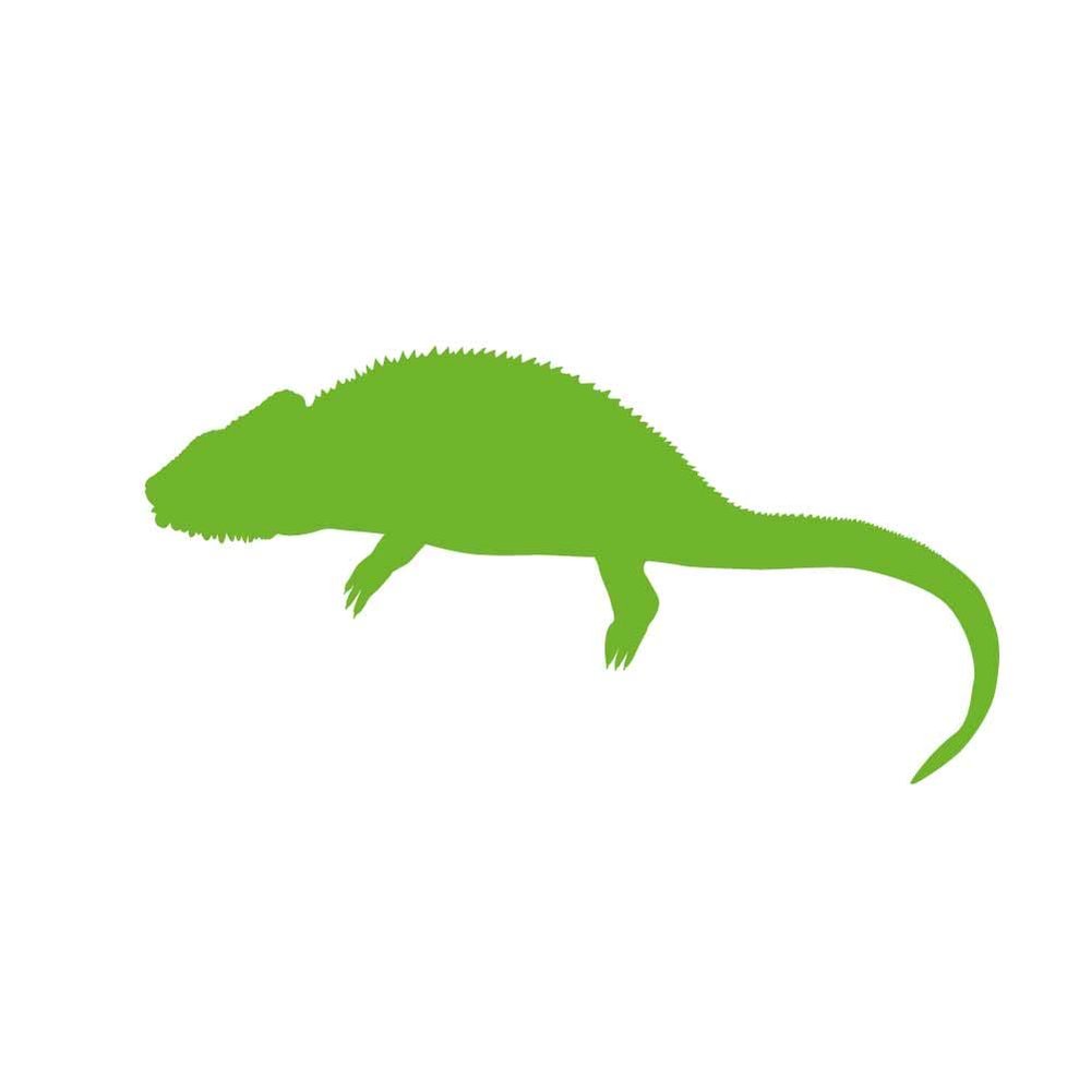 Dark Spark Decals Cape Dwarf Chameleon Silhouette 7 inch Lime Indoor Outdoor Vinyl Decal