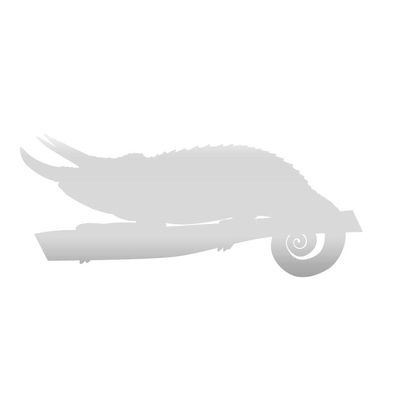 Dark Spark Decals Jackson Horned Chameleon 8 inch Silver Indoor Outdoor Vinyl Decal