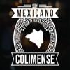 Colima Decal Sticker Mexican Heritage Vinyl Stickers para carros Diseo con Mapa Calcomanias para Trocas y Carros (10" x 10", Colima) view 1