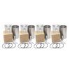 HAOSHUN 4HL1 Overhaul Rebuild Kit Compatible with 4HL1 ISUZU Engine view 2