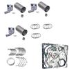 Seapple D1703 Overhaul Rebuild Kit Compatible with Kubota D1703 D1703E Engine Tractor L3300DT L3410DT L3300F KL265 KL280 KL285 KL310 KL2750 Bobcat 325C 328 329 Tier 4i Excavator view 1