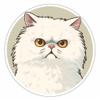 Yoonek Graphics Persian Cat Vinyl Decal Sticker for Car, Laptop, Tumbler, More. #004225 view 1