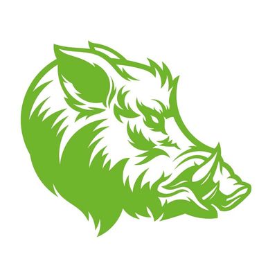 Dark Spark Decals Bold Wild Boar Head 12 inch Lime Indoor Outdoor Vinyl Decal