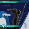 PM Auto Rear Back Glass Lift Support for 1985-1995 Volkswagen Golf w/o Rear Defroster view 4