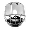 FV100 Hockey Visor Clear view 2