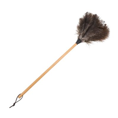 1pc Soft Hair Duster Automatic Mop Hand Duster Black Mops Cleaning Gadgets Sweeper Ladlebroom Retractable Furniture Ostrich Solid Wood