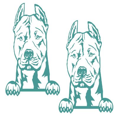 2 Pack - Peeking Pitbull | Decal Vinyl Sticker Graphics for Car Truck SUV Van Window Laptop Tumbler| 5" Width by 5.5" Height HOM0048.054 Turquoise