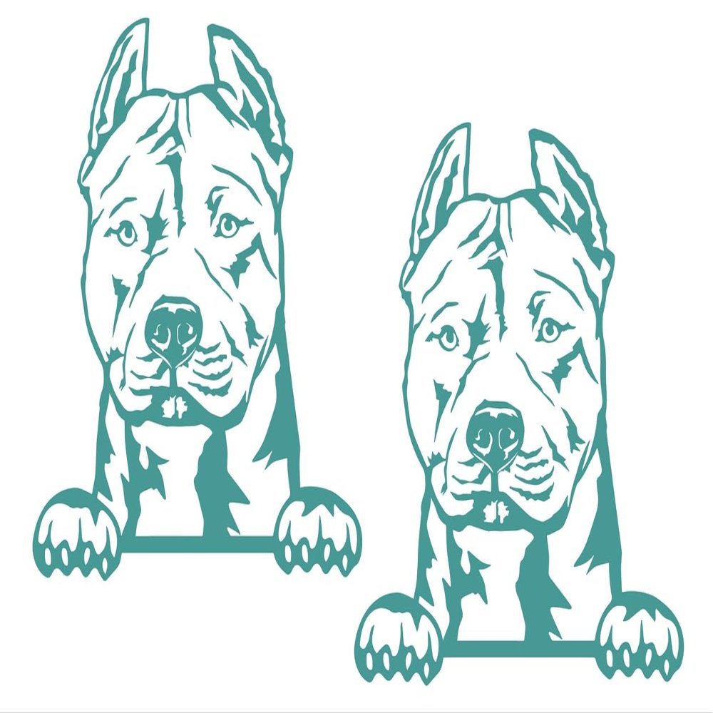 2 Pack - Peeking Pitbull | Decal Vinyl Sticker Graphics for Car Truck SUV Van Window Laptop Tumbler| 5" Width by 5.5" Height HOM0048.054 Turquoise