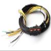 Haltech - HPI8 High Power Igniter 2m Flying Lead (Loom Only) (HT-040025) view 1