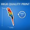 (2 Pack) Scarlet Macaw Cool Handrawn Parot Stickers - 5" On Longest Side - for Car, Truck, SUV - Easy Peel and Stick Vinyl Decals - Made in USA - BMCS0131 view 2