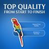 (2 Pack) Scarlet Macaw Cool Handrawn Parot Stickers - 5" On Longest Side - for Car, Truck, SUV - Easy Peel and Stick Vinyl Decals - Made in USA - BMCS0131 view 3