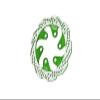 GPM Upgrades Aluminum 7075-T6 Rear Brake Disk For 1/4 Promoto Mx Motorcycle RTR FXR LOS06000/1/4 Promoto MX Motorcycle RTR FXR LOS06002 RC Car (Green) view 1