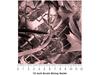 Rwraps Bushwolf Camouflage Grassland Pink Gloss Vinyl Film Wrap 59in x 30ft Vinyl Vehicle Car Film Sheet Roll view 4