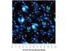 Rwraps Classic Floral Indigo Holly Gloss Vinyl Film Wrap 59in x 11ft Vinyl view 4