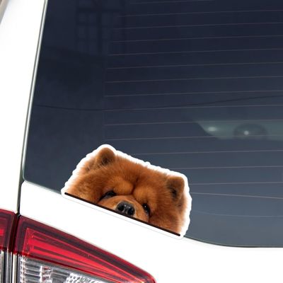Peeking Red Chow Chow Car Decal, Realistic Dog Head Car Sticker Vinyl Waterproof Removable Indoor Outdoor Bumper Window Laptop Phone Sticker, Dog Lover Gift, Dog Gift, Pet Vinyl Stickers.