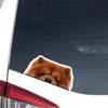 Peeking Red Chow Chow Car Decal, Realistic Dog Head Car Sticker Vinyl Waterproof Removable Indoor Outdoor Bumper Window Laptop Phone Sticker, Dog Lover Gift, Dog Gift, Pet Vinyl Stickers. view 1