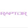 Raptor Tailgate Emblem Inserts - Compatible with 2017-2027 Raptor view 1