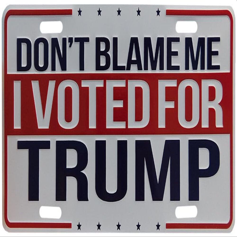 Don't Blame Me I Voted for Trump White 6"x12" Aluminum License Plate