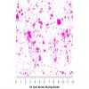 Rwraps Paint Splatter Pink Spill Matte Vinyl Film Wrap 59in x 27ft Vinyl Vehicle Car Film Sheet Roll view 4