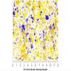 Rwraps Paint Splatter Beachy Vibes Matte Vinyl Film Wrap 59in x 25ft Vinyl Vehicle Car Film Sheet Roll view 4