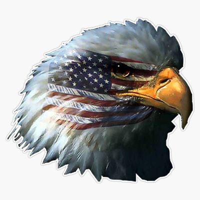 American Flag Bald Eagle Patriotic Sticker Vinyl Decal Bumper Sticker 5"