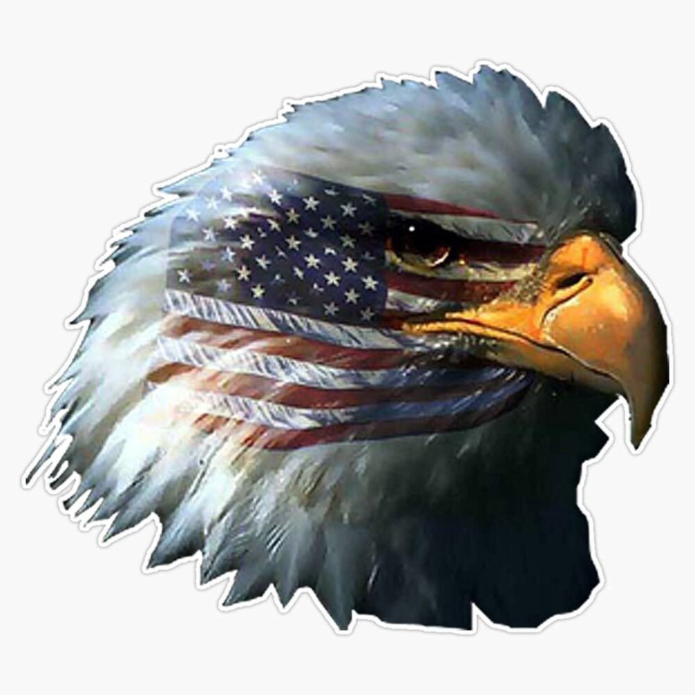 American Flag Bald Eagle Patriotic Sticker Vinyl Decal Bumper Sticker 5"