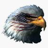 American Flag Bald Eagle Patriotic Sticker Vinyl Decal Bumper Sticker 5" view 1