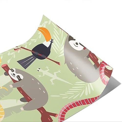 Rwraps Sloth Snails Pace Matte Vinyl Film Wrap 59in x 21ft Vinyl Vehicle Car Film Sheet Roll