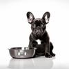 Annie Dog Name Sticker - Waterproof Vinyl Decal for Car Bumper, Laptop, Water Bottle, Wall, and Window, Size - 3'' Longer Side view 2
