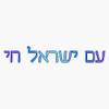 Am Yisrael Chai Sticker Vinyl Waterproof Sticker Decal Car Laptop Wall Window Bumper Sticker 5" view 1