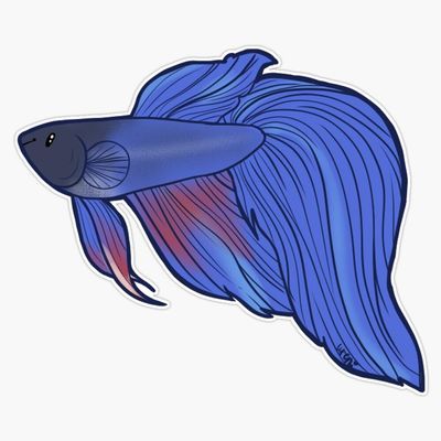 Blue Veiltail Betta Sticker Vinyl Waterproof Sticker Decal Car Laptop Wall Window Bumper Sticker 5"