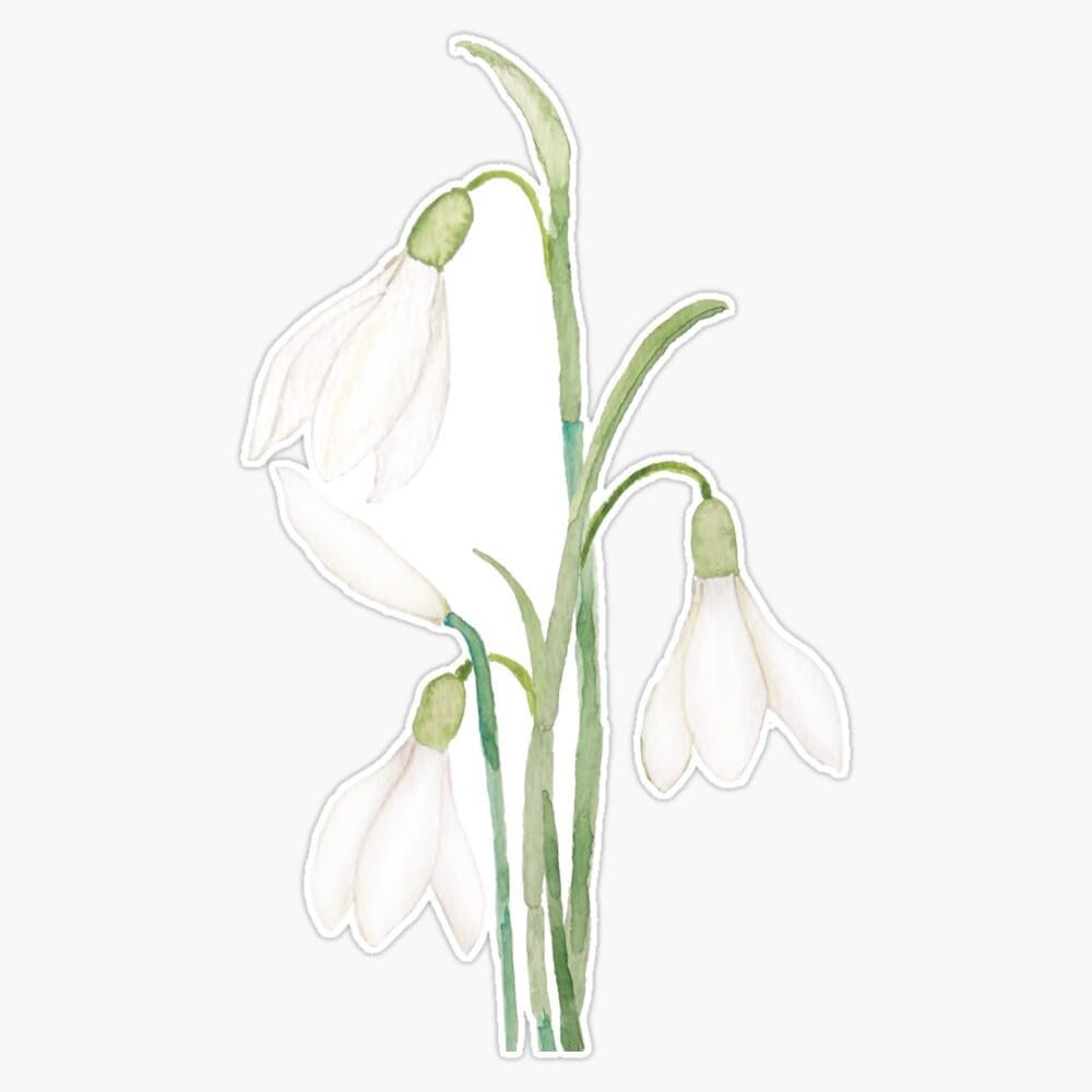 Angelic Snowdrop Flowers Watercolor Sticker Vinyl Waterproof Sticker Decal Car Laptop Wall Window Bumper Sticker 5"