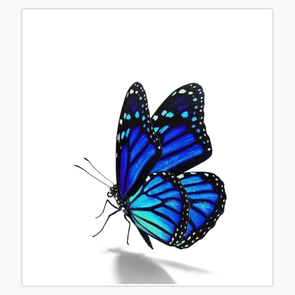 Blue Butterfly Aesthetic Sleeveless Top Sticker Vinyl Waterproof Sticker Decal Car Laptop Wall Window Bumper Sticker 5"