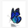 Blue Butterfly Aesthetic Sleeveless Top Sticker Vinyl Waterproof Sticker Decal Car Laptop Wall Window Bumper Sticker 5" view 1