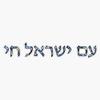 Am Yisrael Chai Silver Glitter Sticker Vinyl Waterproof Sticker Decal Car Laptop Wall Window Bumper Sticker 5" view 1
