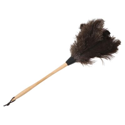 Healeved 2pcs Handle Ostrich Duster Cleaning Tool Soft Household Brush for Home Office Car Comfortable Touch Easy to Clean
